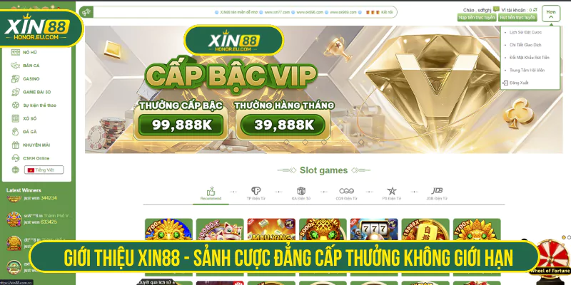 Giới Thiệu XIN88 - Sảnh Cược Đẳng Cấp Thưởng Không Giới Hạn