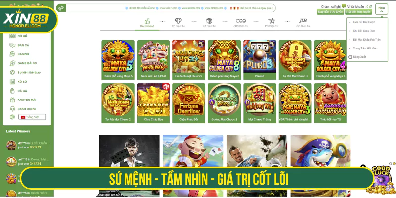 Sứ mệnh - Tầm nhìn - Giá trị cốt lõi